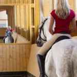 Die Geraderichtung – die Basis für gutes Reiten Die Geraderichtung – die Basis für gutes Reiten