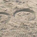 So hält Nordsand den Bewegungsapparat unserer Vierbeiner dauerhaft gesund So hält Nordsand den Bewegungsapparat unserer Vierbeiner dauerhaft gesund