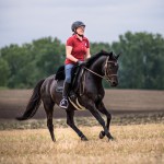 Galopp marsch! – Plädoyer für das Galoppieren im Gelände Galopp marsch! – Plädoyer für das Galoppieren im Gelände