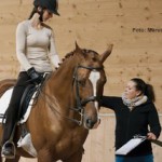 Warum es Tänzer beim Reiten leichter haben Warum es Tänzer beim Reiten leichter haben