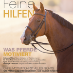 Ausgabe 22 Ausgabe 22