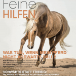 Ausgabe 23 Ausgabe 23