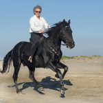 Muss man fit sein, um gut reiten zur können? Muss man fit sein, um gut reiten zur können?