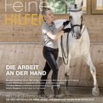Ausgabe 29 Ausgabe 29