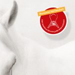 Weltneuheit bei Iberosattel: Sattelbaum mit integriertem EWF-System Weltneuheit bei Iberosattel: Sattelbaum mit integriertem EWF-System