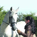 Klassische Reitkunst Cornelia Siemes Klassische Reitkunst Cornelia Siemes