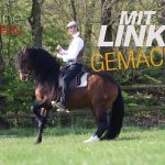 Marius Schneider: Mit Links gemacht Marius Schneider: Mit Links gemacht