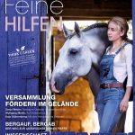 Ausgabe 41 Ausgabe 41