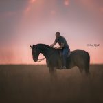 Barock Flair – art of riding shop Barock Flair – art of riding shop