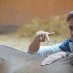 Autark sein beim Reiten und der Gesundheitsfürsorge für Dein Pferd Autark sein beim Reiten und der Gesundheitsfürsorge für Dein Pferd