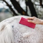 fellschön® – der innovative Helfer im Fellwechsel fellschön® – der innovative Helfer im Fellwechsel