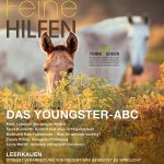 Feine Hilfen 53 Feine Hilfen 53