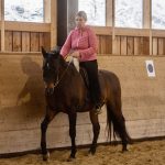Horsespeak- die Stimme der Pferde: Seitengänge Horsespeak- die Stimme der Pferde: Seitengänge