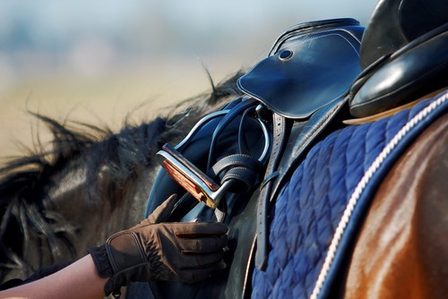 Häufig sind unpassende Sättel schuld, wenn Pferde nicht über den Rücken gehen. "Gerade Reiterinnen lassen sich ungern einen 17-Zoll-Sattel verkaufen, wenn sie bisher immer in einem 16-Zoller geritten sind", sagt Desmond O´Brien. (Foto: Shutterstock.com)