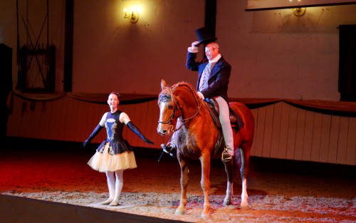Der Zirkus war lange Zeit Bewahrer der Reitkunst. Vorführung im Rahmen der Buchpremiere. (Foto: Kristin Stockhaus)