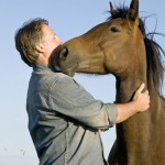 Tierschutz im Pferdesport? – Offenbar immer noch ein Fremdwort