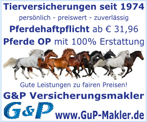 Feine Hilfen