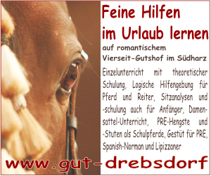 Feine Hilfen